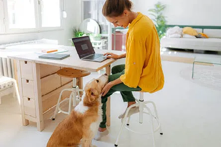 A woman sitting at a desk making notes on a laptop while petting a dog