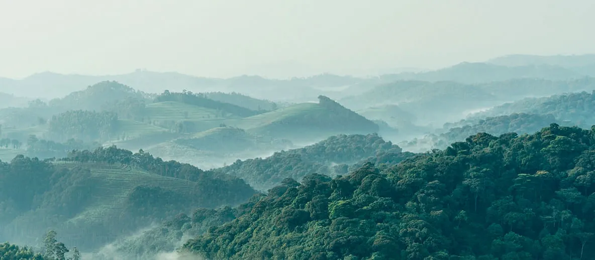 Living in Rwanda